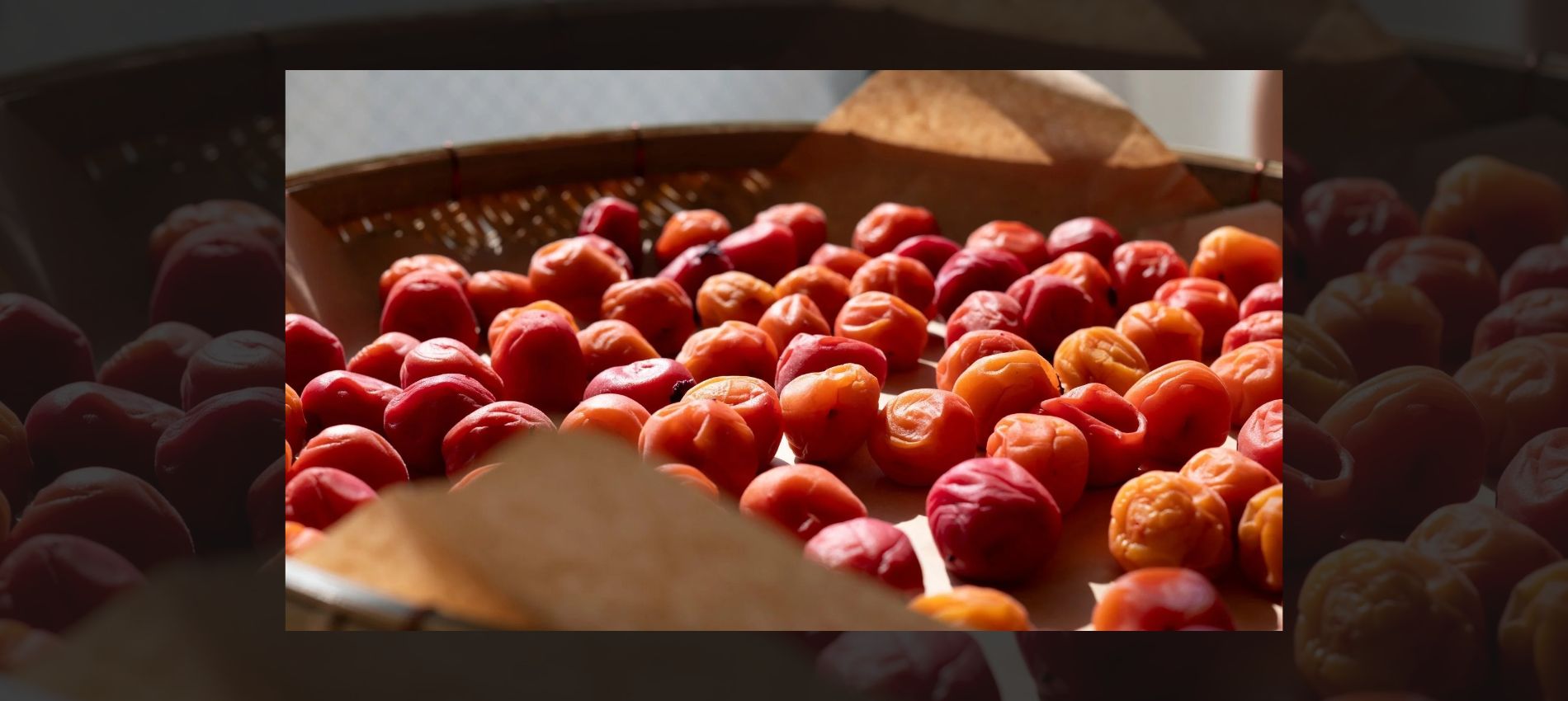 Glow From Within: 4 Anti-Oxidant Rich Food Staples Japanese Women Swear By for Perfect Gut Health